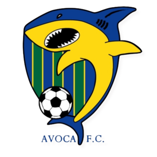 AVOCA SHARKS F.C. | We welcome players of all ages and all abilities.